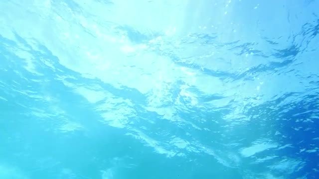 Water Surface Underwater: Stock Video