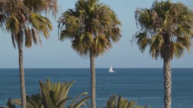 Boat With White Sail: Stock Video