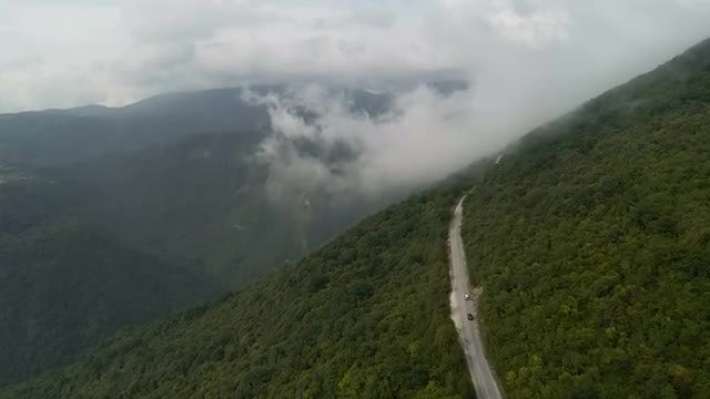 Aerial View Of Forest Road: Stock Video