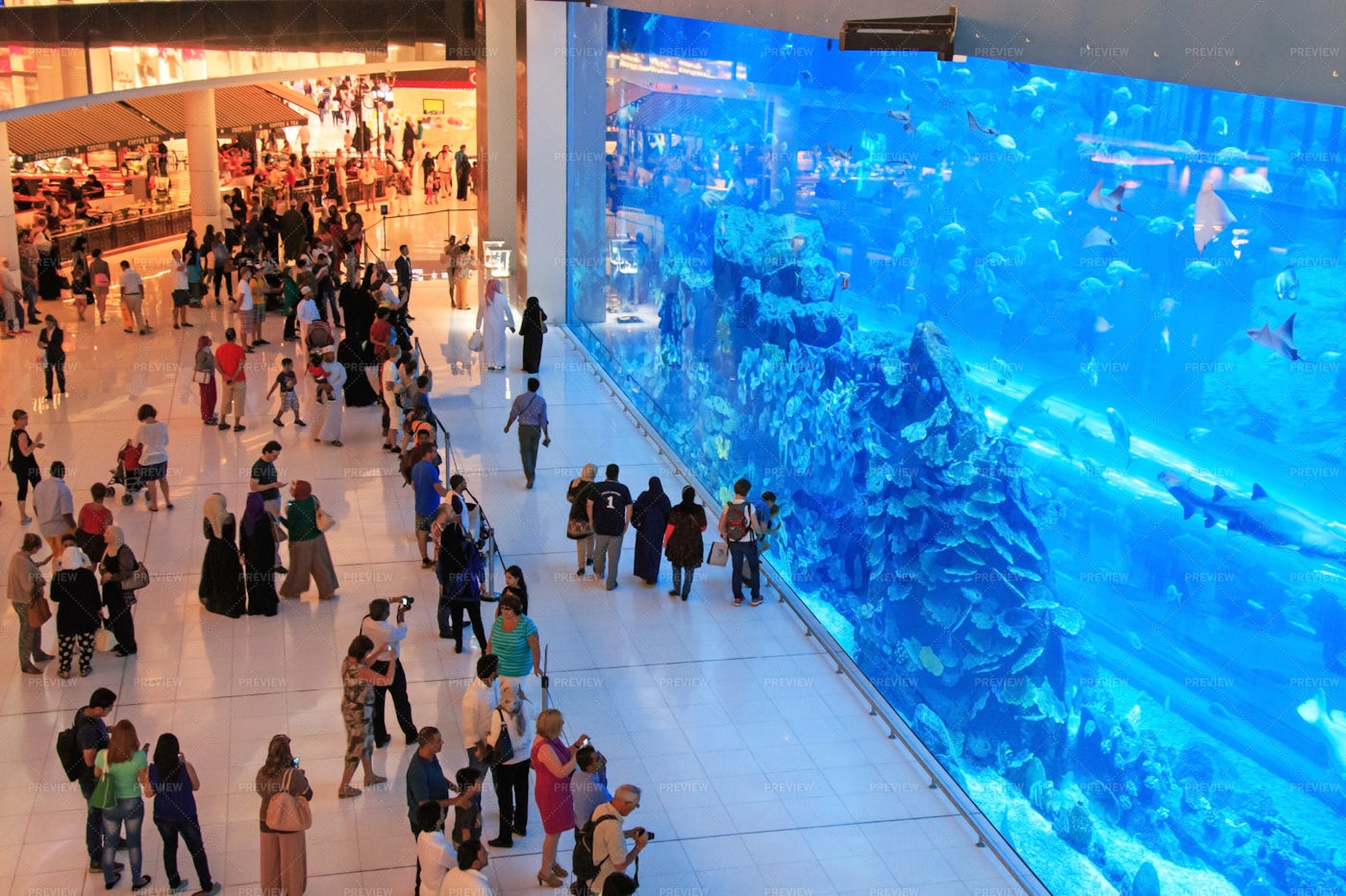 Aquarium In Dubai Mall: Stock Photos