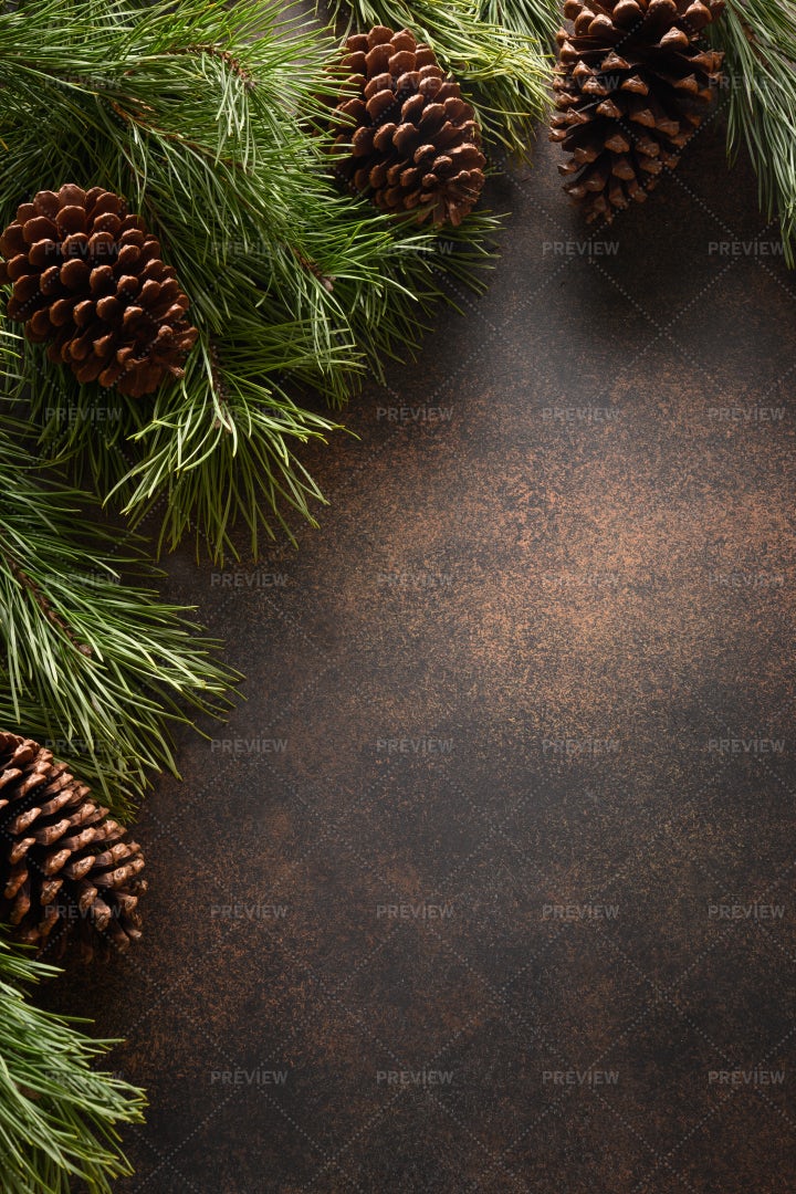 Christmas Border With Evergreen Branches: Stock Photos
