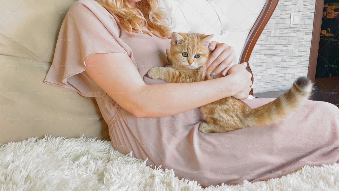 Pregnant Woman And Kitten: Stock Photos