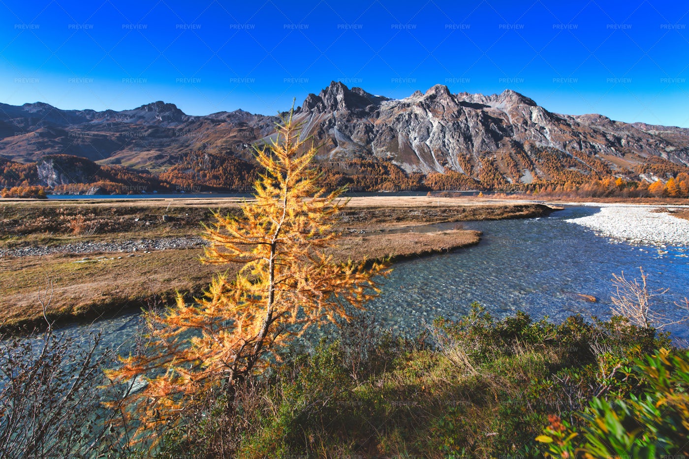 Engadine Autumn Landscap: Stock Photos