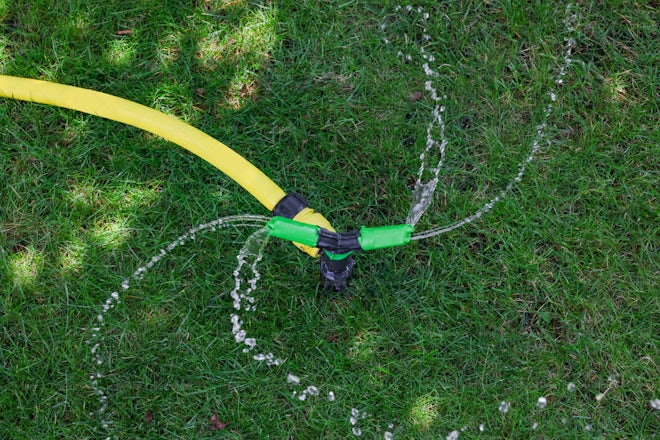 Watering Green Grass Lawn - Stock Photos | Motion Array