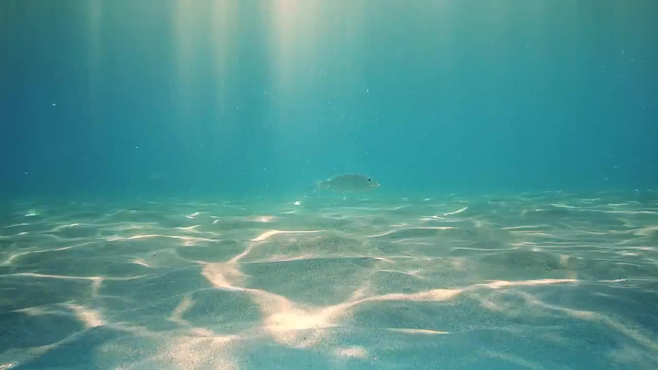 Light Reflected On Ocean Floor Stock Video Motion Array