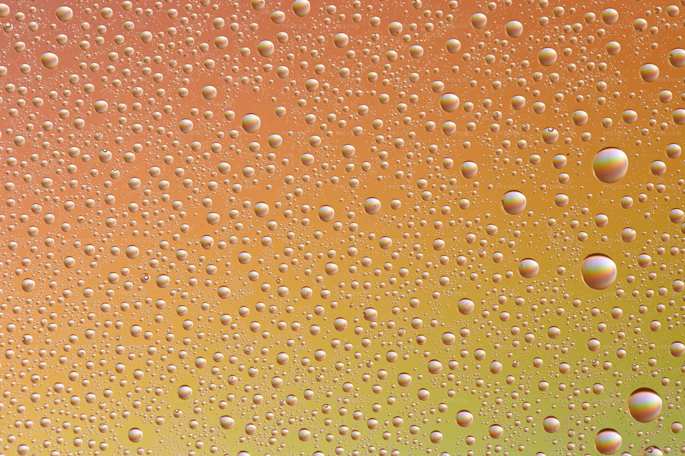 Drops On Glass Of Different Sizes: Stock Photos