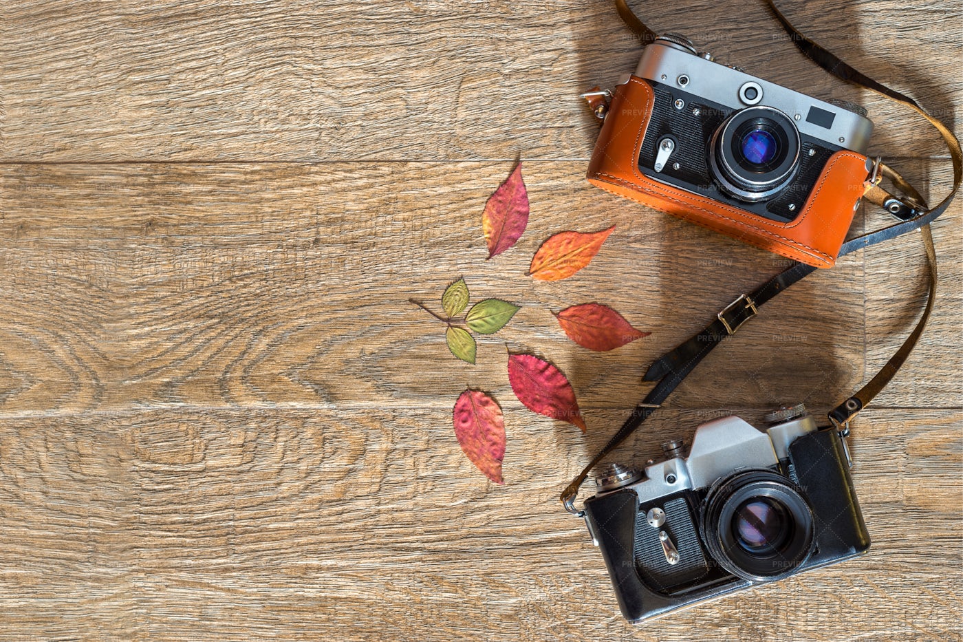 Old Retro Photo Cameras: Stock Photos