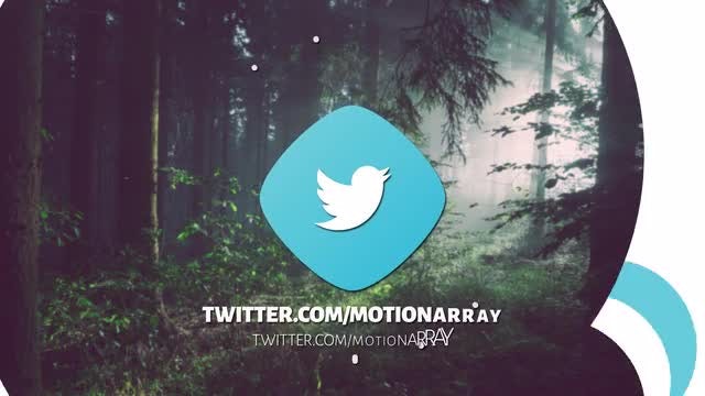 Toon Style Logo: After Effects Templates