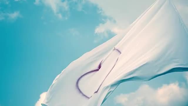 White Flag With Heart Symbol: Stock Video