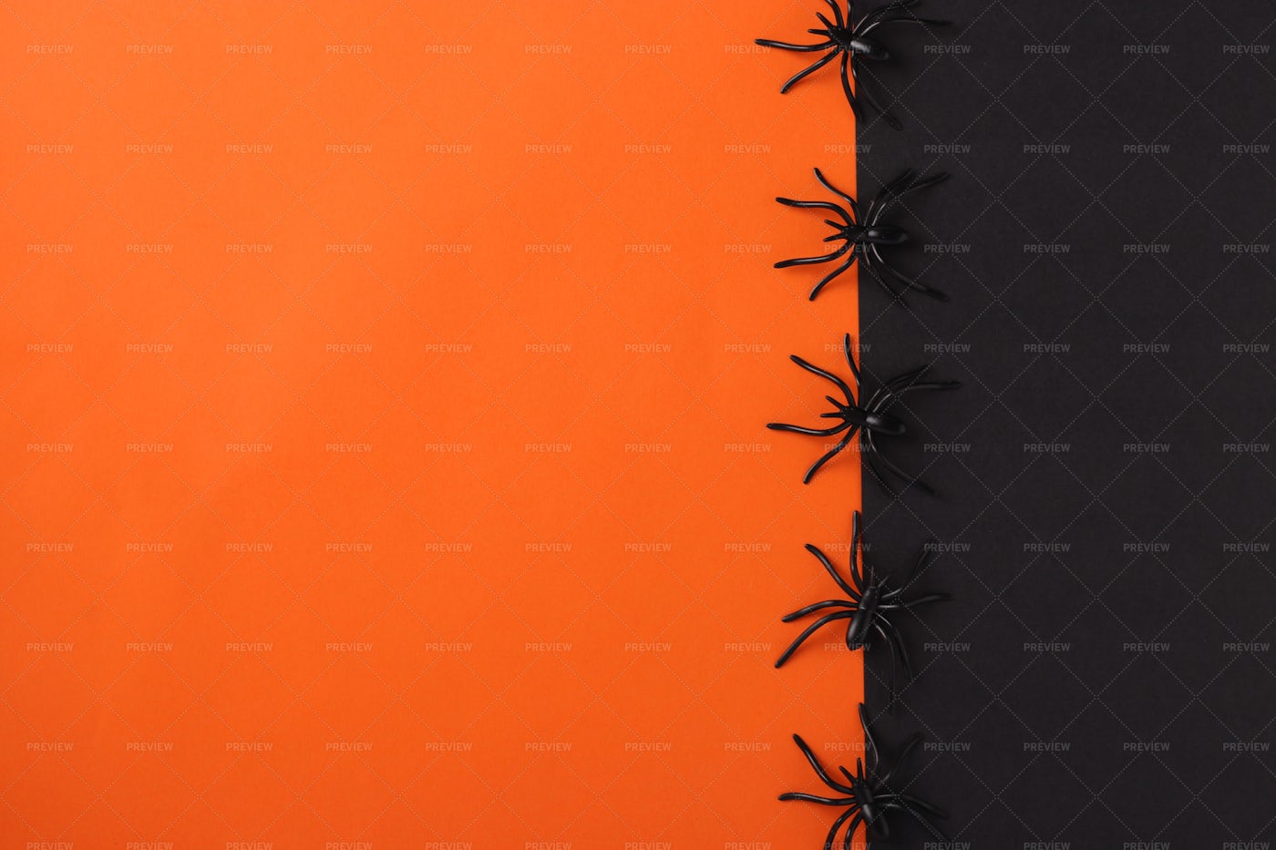 Halloween Background With Spiders: Stock Photos