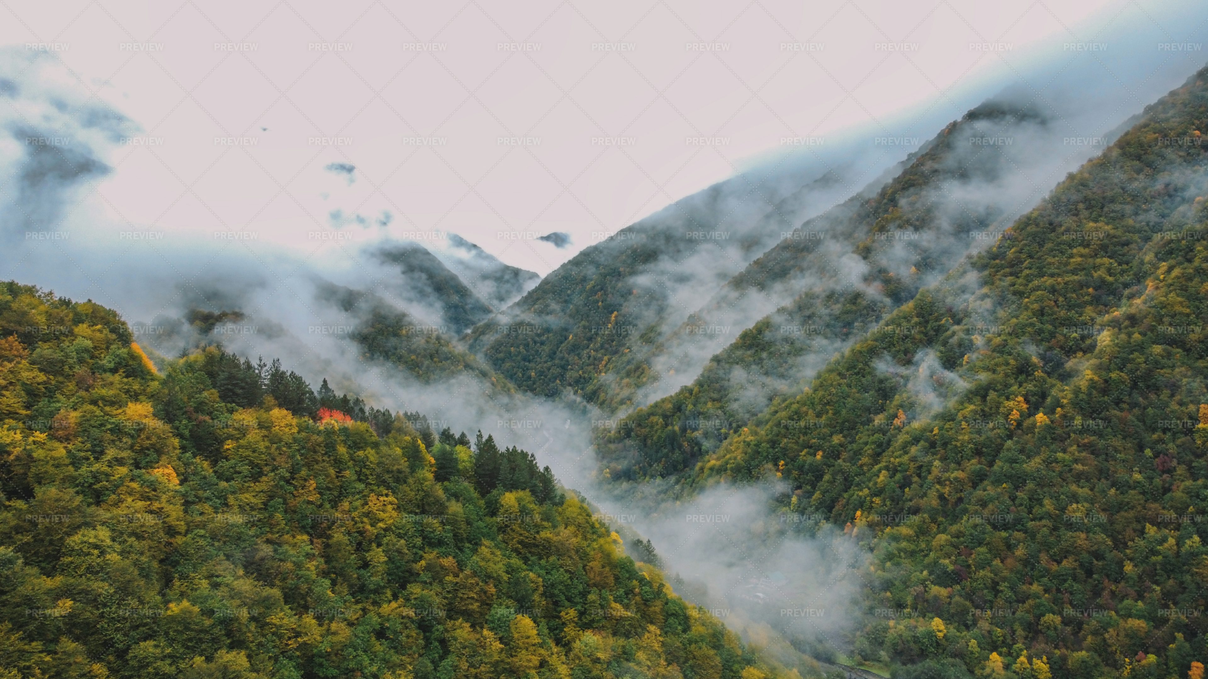 Misty mountains актриса фото