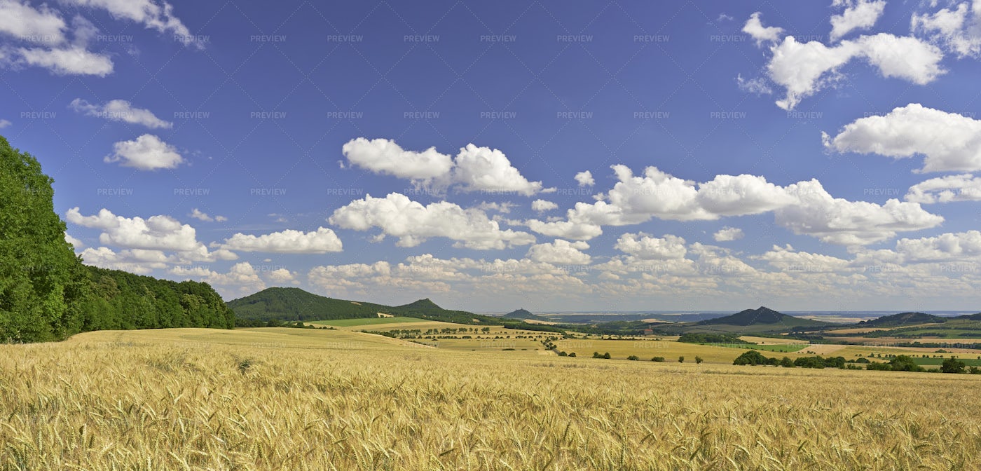 Agricultural Landscape: Stock Photos