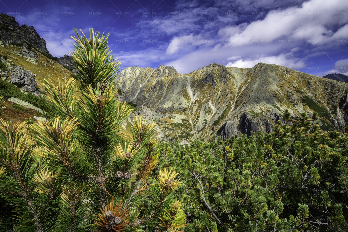 The Slovakian Mountains: Stock Photos