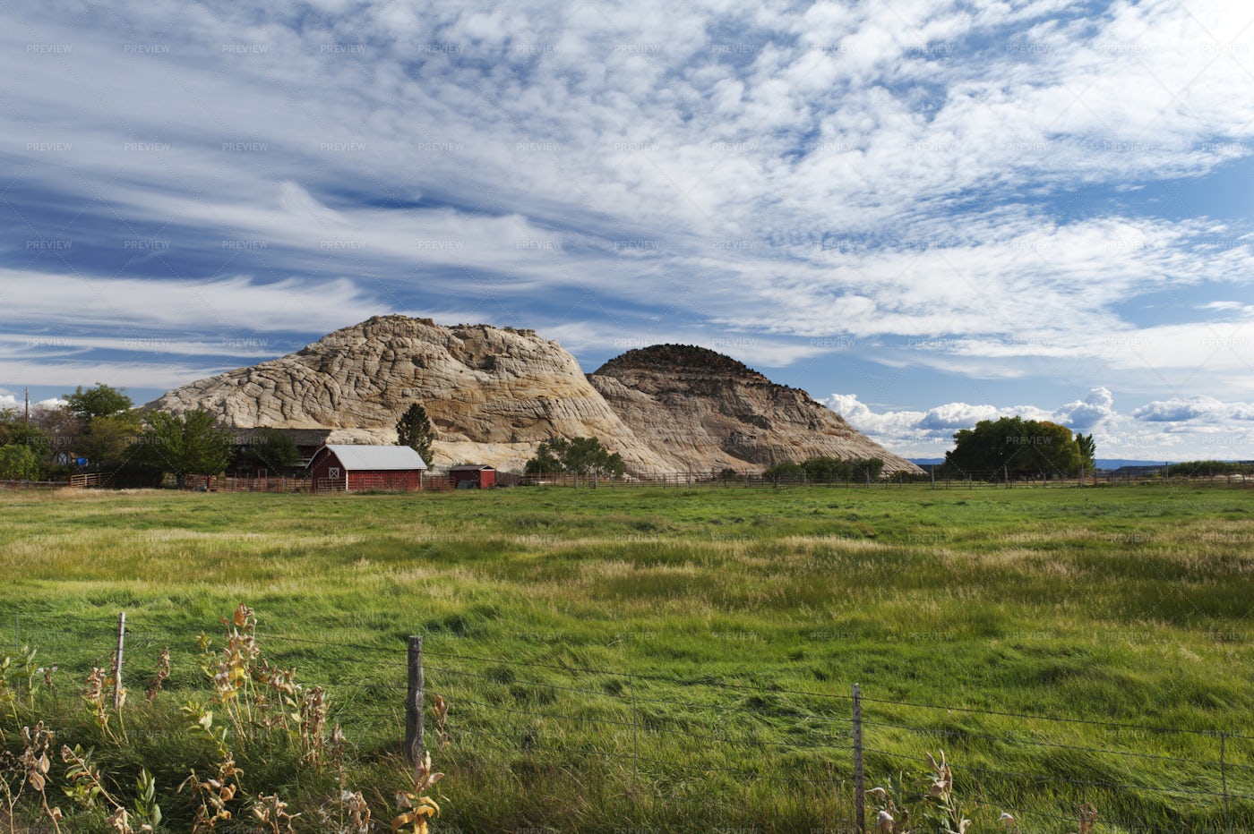 Red Barn In A Green Field: Stock Photos
