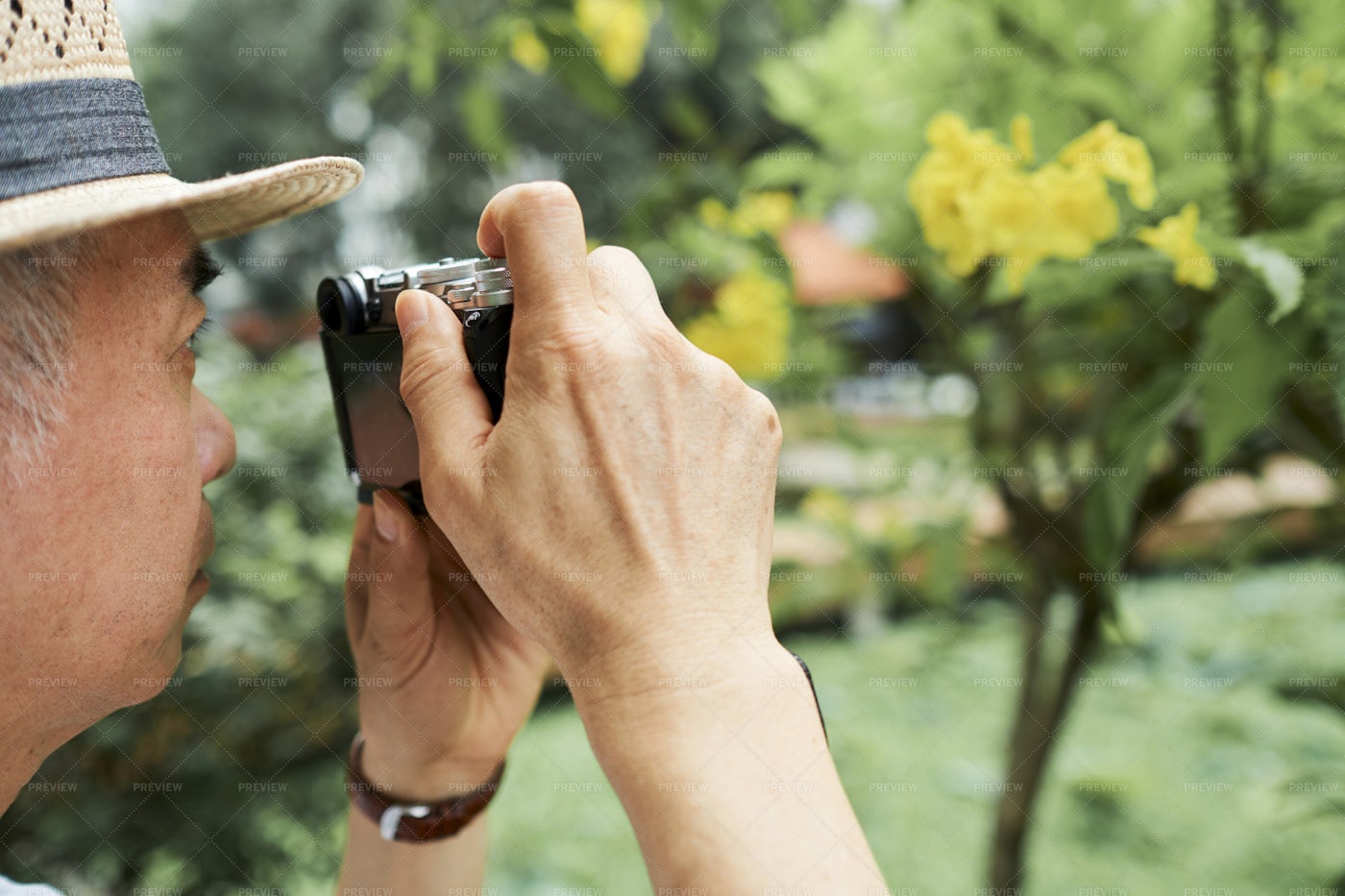 Senior Man Photographing Tree: Stock Photos