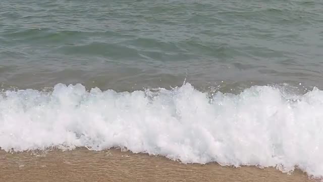 Seashore Washed With Waves: Stock Video