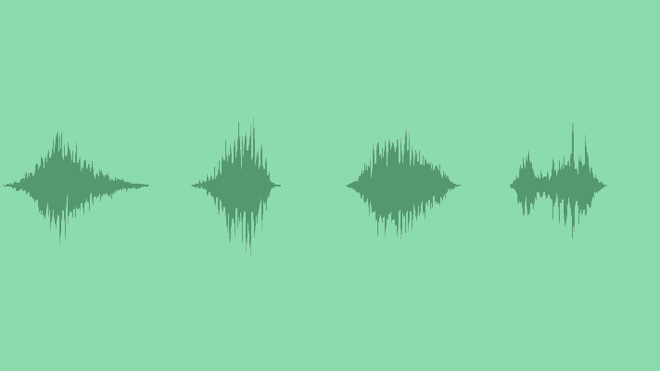 Shake Hiss: Sound Effects