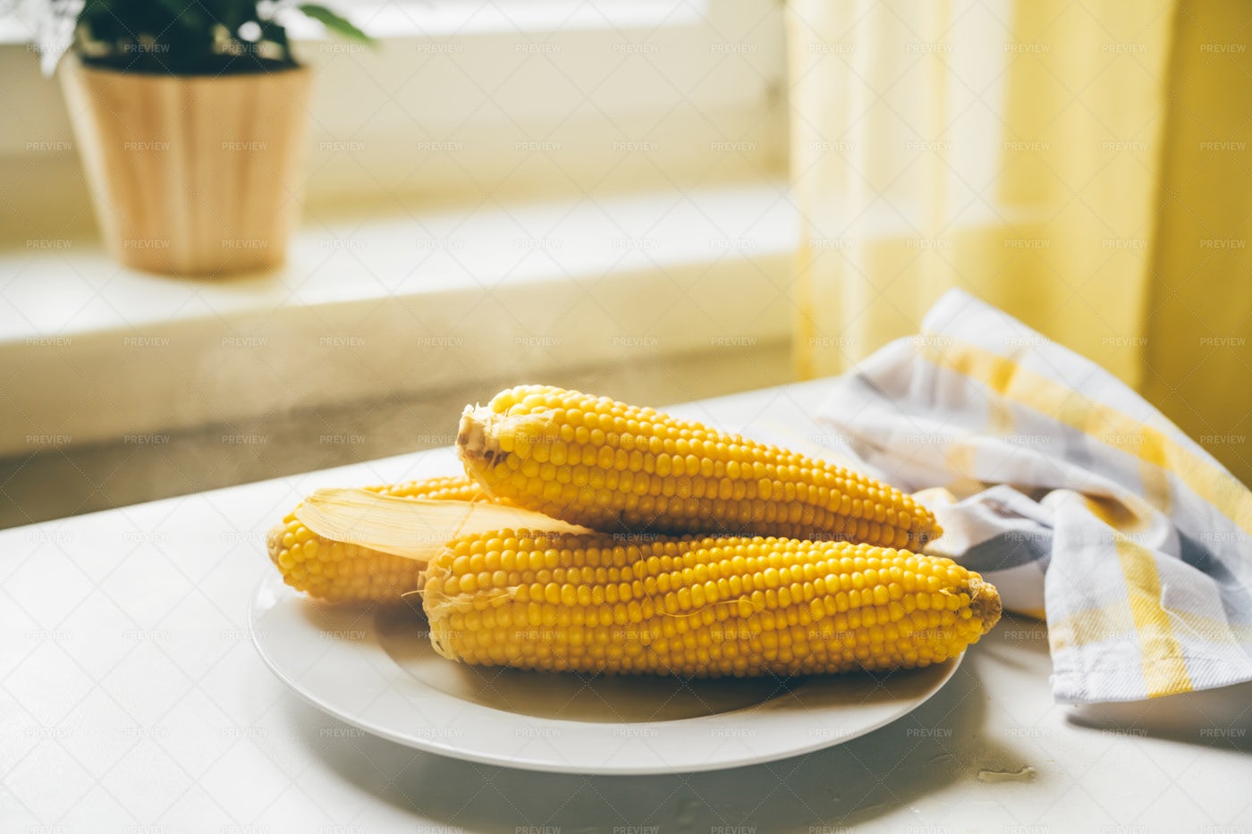 Cooked Corn Cobs: Stock Photos
