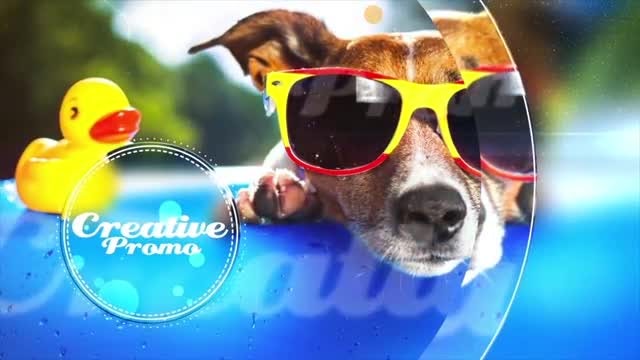 Summer Cool: After Effects Templates