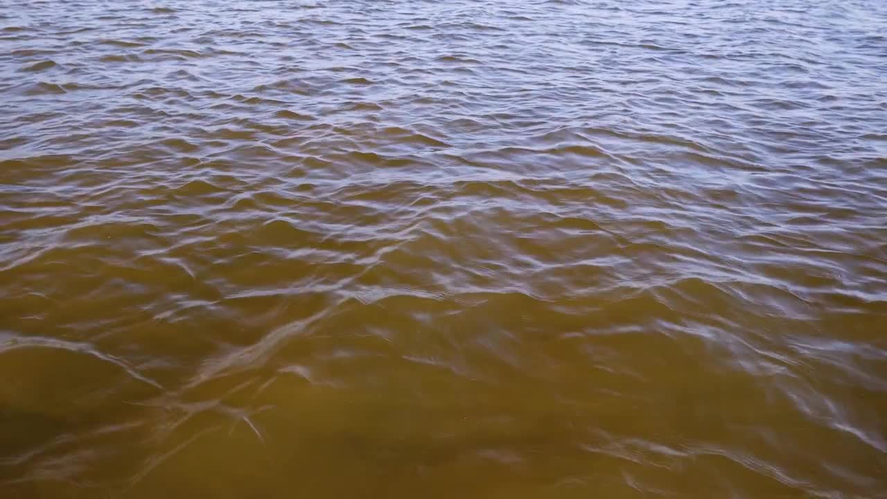 Dirty Lake With Ripples Stock Video Motion Array