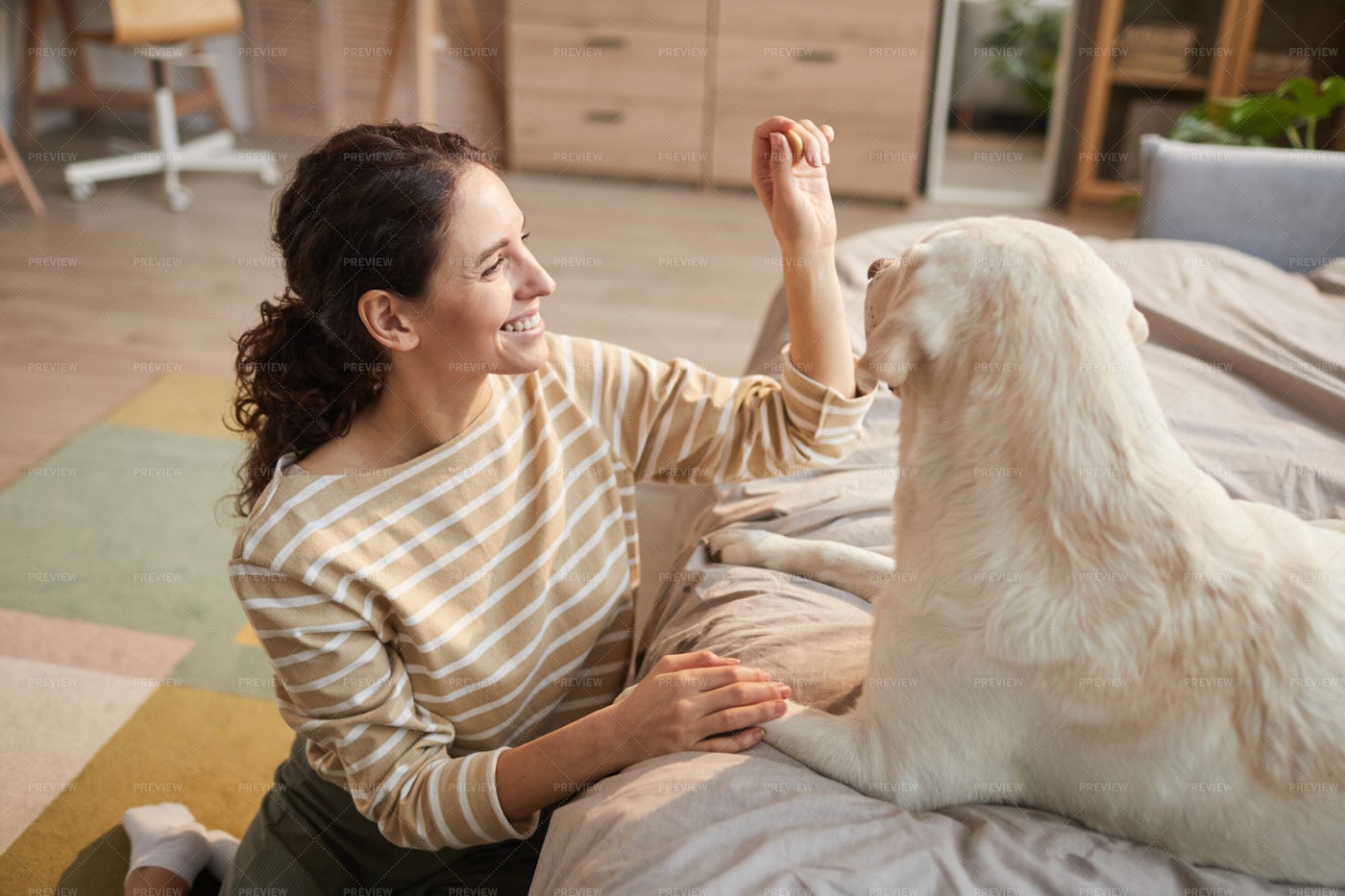 Woman Playing With Dog: Stock Photos