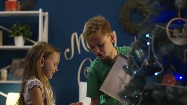 Siblings Decorating Christmas Tree: Stock Video