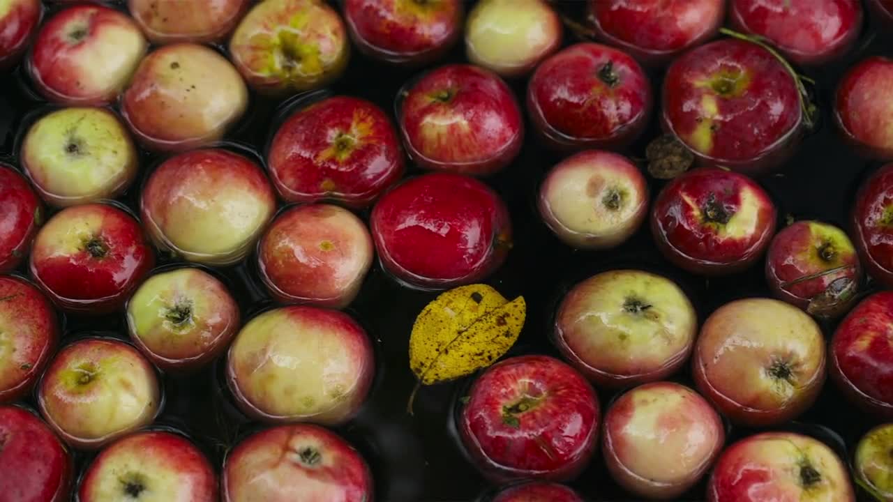 Washing Apples Stock Video Motion Array