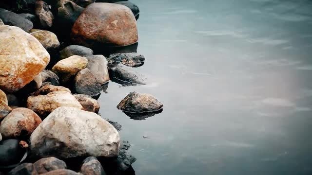 Close-up Of Stones And Water: Stock Video