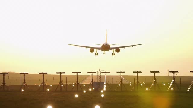 Large Airplane Landing At Airport: Stock Video