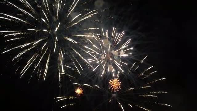 Colorful Fireworks At Night: Stock Video