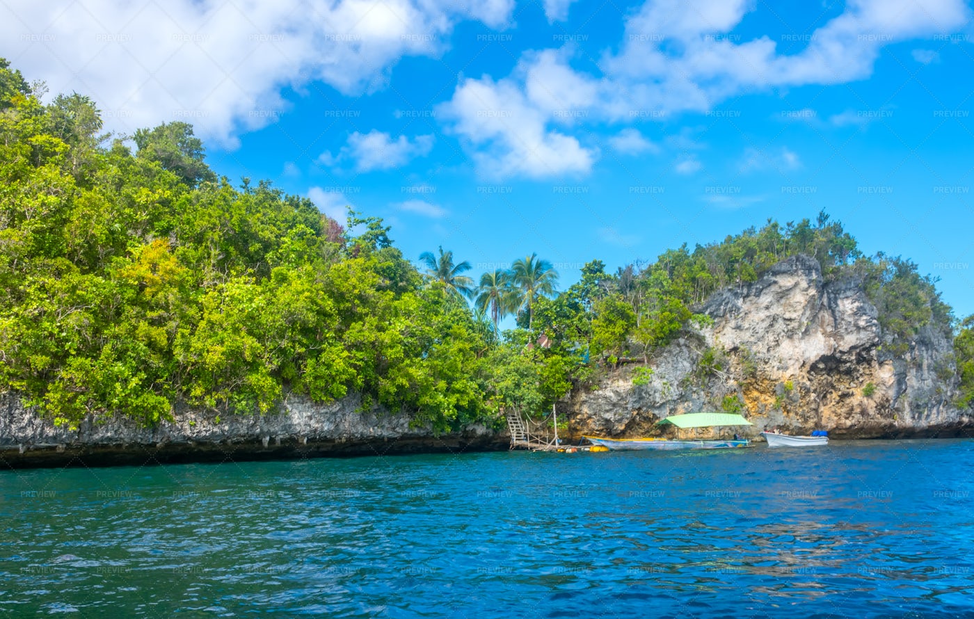 A Tropical Island - Stock Photos | Motion Array