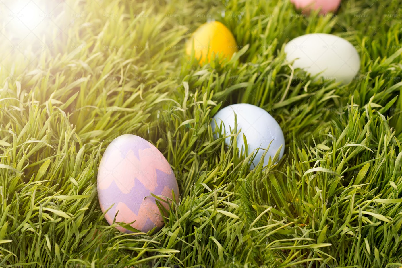 Easter Eggs In The Grass: Stock Photos
