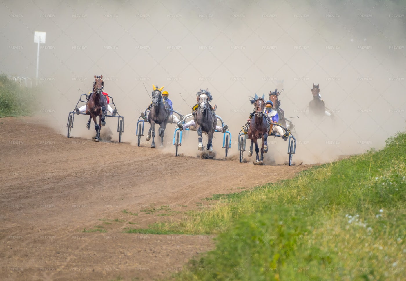Horse Race: Stock Photos