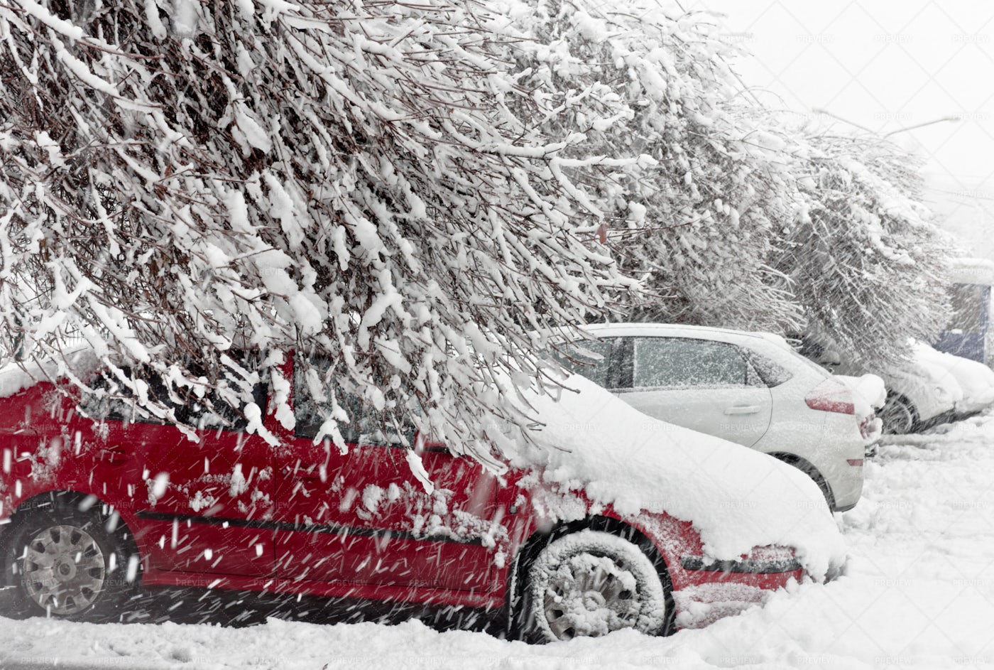 Cars Stuck In The Snow: Stock Photos