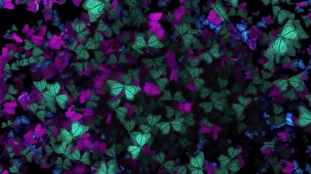 Background Of Flapping Butterflies: Stock Motion Graphics