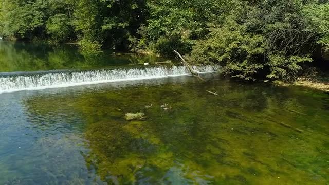 Three Duck Swimming In Water: Stock Video