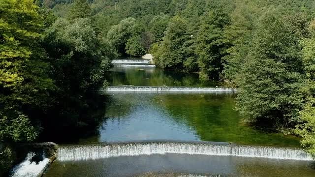 Water Canal In The Forest: Stock Video