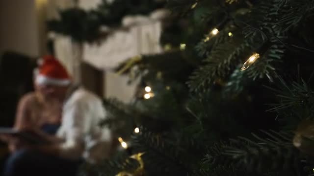 Close-up Shot Of Christmas Tree: Stock Video