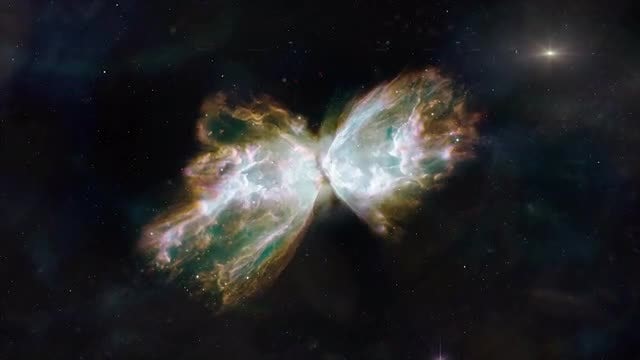 Butterfly Nebula: Stock Motion Graphics