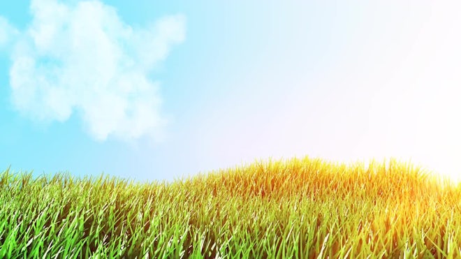 Grass And Sky - Stock Motion Graphics | Motion Array