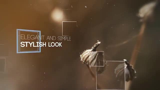 Repeat Slideshow: After Effects Templates