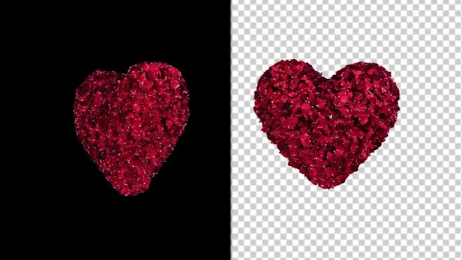 Heart Animation of Rose Petals - Stock Motion Graphics | Motion Array