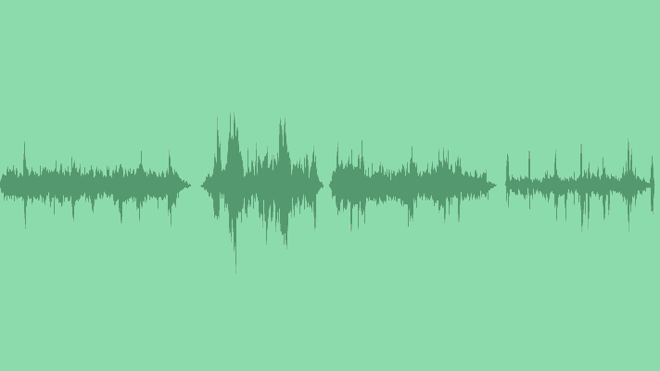 Forest Ambiance Pack: Sound Effects