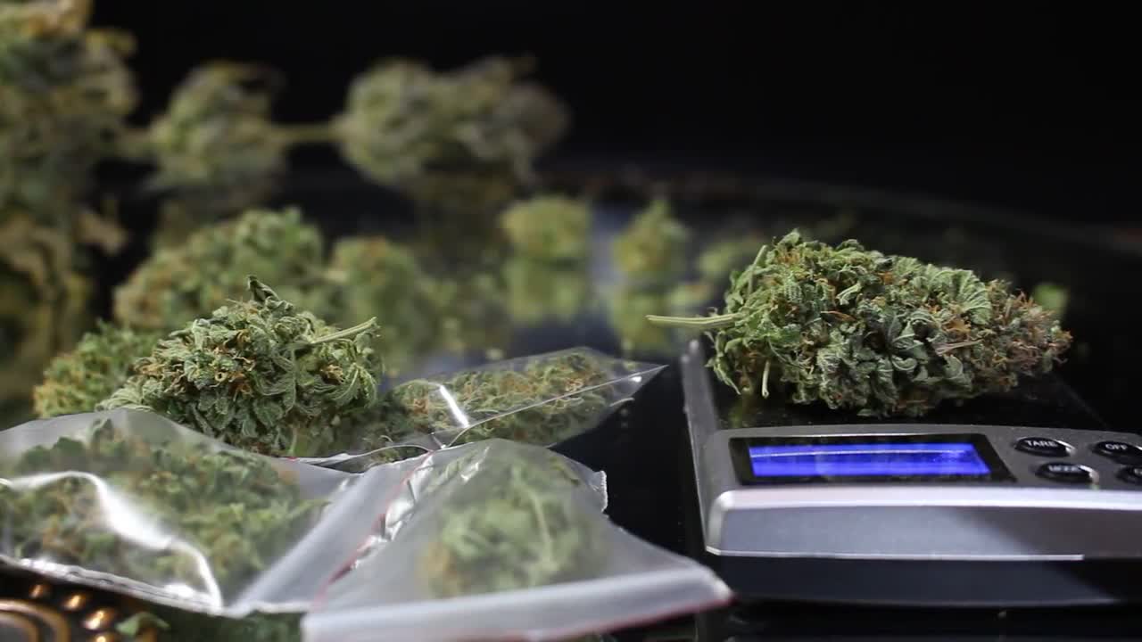 Marijuana Buds And Weighing Scale - Stock Video | Motion Array