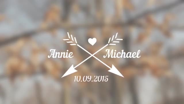 Wedding Graphic Titles: After Effects Templates