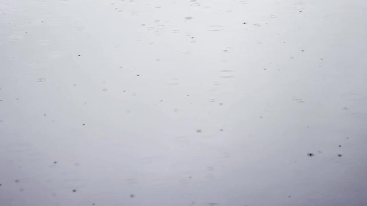 Autumn Rain On Gray Ground: Stock Video