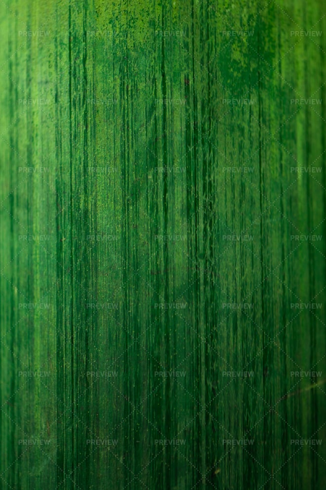 bamboo leaves texture