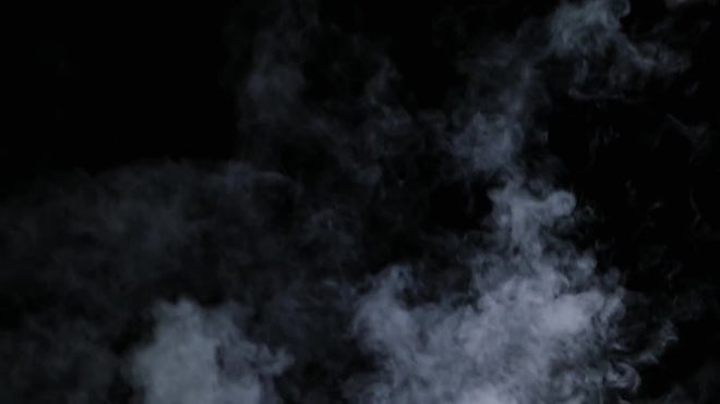 White Smoke On Black Background - Stock Video | Motion Array