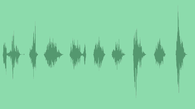 The Language Of Snakes: Sound Effects
