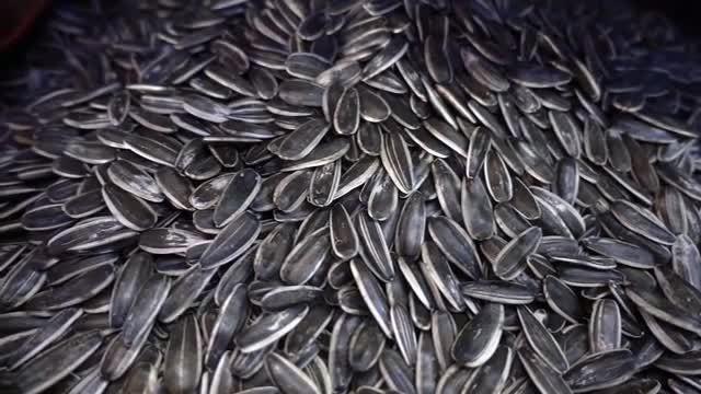 Close-up Shot Of Sunflower Seeds: Stock Video